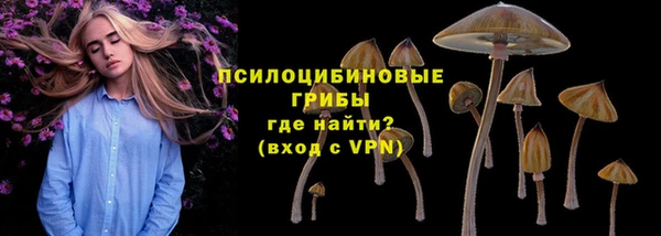 СК Карпинск